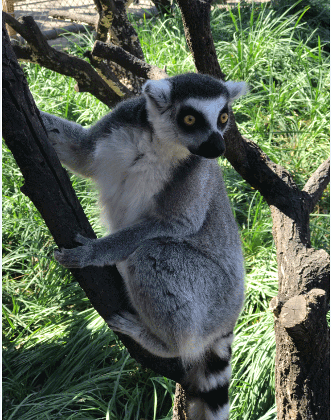 1539415382436950.png 微信图片_20181013152213.png