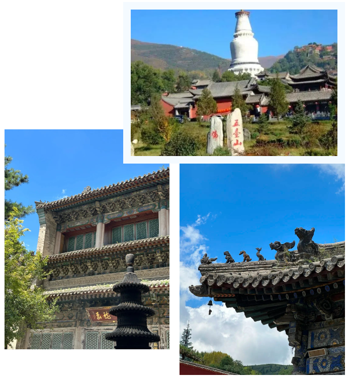 1693038428816443.png 12334.png